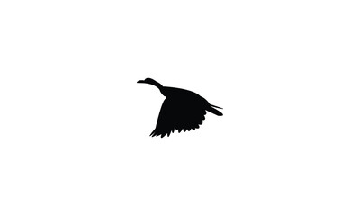 African finfoot bird Silhouette Design  And Vector Illustration. 
