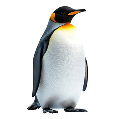 Angled view full-body shot of an extremely perfect-looking single Penguin isolated on a white transparent background