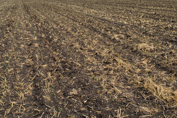 Außenaufnahme,  Aussenaufnahme,  Außenaufnahmen,  Aussenaufnahmen,  Oberbayern,  Bayern, ...