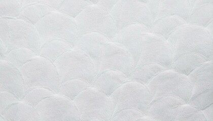 Fototapeta premium 和紙のテクスチャ、背景素材（白）