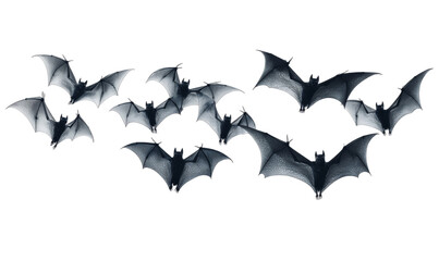 A Captivating Scene of Bats in Flight Over a Darkened Landscape at Dusk isolated transparent background