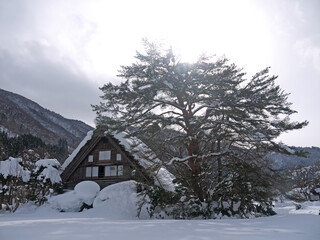 Shirakawa-go Historical Japanese village winter scenery with Ogimachi Gassho-Zukuri House and big snowdrifts on the roof