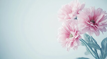 Dementia symptoms in a senior person struggling to write a letter to a loved one. Featuring cognitive challenges and frustration