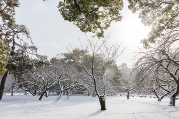 A snow-covered park.