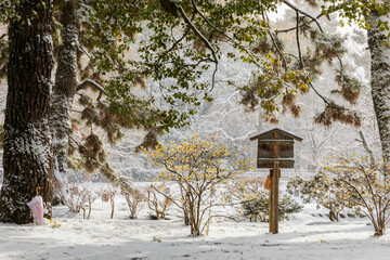 A snow-covered park.
