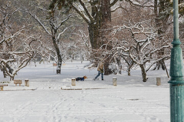 winter in the park
