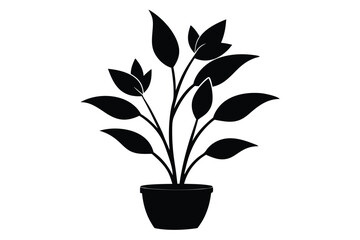 Elegant plant tree vector illustration with a modern design, perfect for branding, decor, and eco themes.