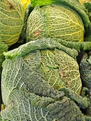 brussels sprouts in the market
