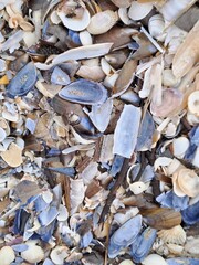 close up of a pile of firewood