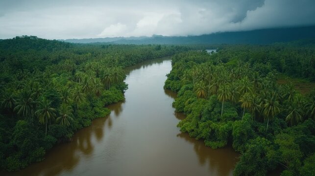 Channel of the sepik river delta through thick tropical jungle- madang province, papua new guinea
