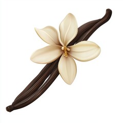 Naklejka premium Vanilla pod with a delicate flower isolated on white background