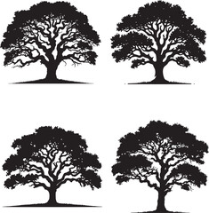 Obraz premium Texas Madrone Tree Silhouette Collection - Four Unique Variations