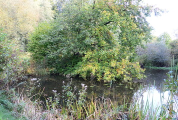 Autumn in the Resort Park in the Town Bad Fallingbostel, Lower Saxony