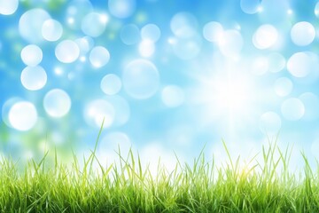 Obraz premium Serene Sunlight Illuminating Fresh Green Grass Against a Soft Blue Bokeh Background Capturing the Essence of Spring and New Beginnings