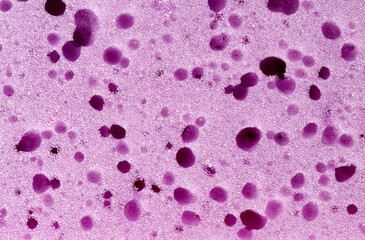 A close up of a pink object with many small dots on it