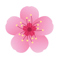 cherry blossom. simple japanese sakura flower icon. transparent png and vector illustration.