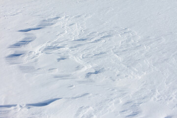 The snow is white and the ground is covered in it