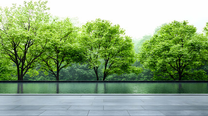 Lush Green Trees Reflecting on a Grey Road