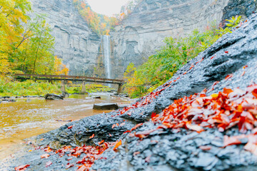 Beautiful Autumn in Taughannock Falls State Park