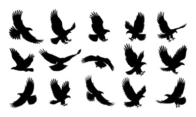 Fototapeta premium eagle silhouette, fliying bird silhouette