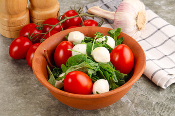 Salad with mozzarella and arugula