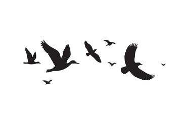 flying birds silhouette vector Illustration on white background