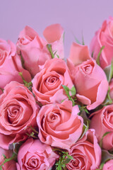 Delicate rosebuds on a purple background close-up vertical. copy space