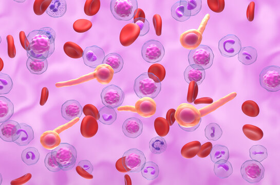 Clostridium Tetani Bacteria (tetanus neurotoxin) - 3d illustration isometric view