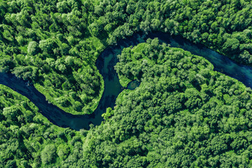 Aerial drone view of blue curved river and green summer woods