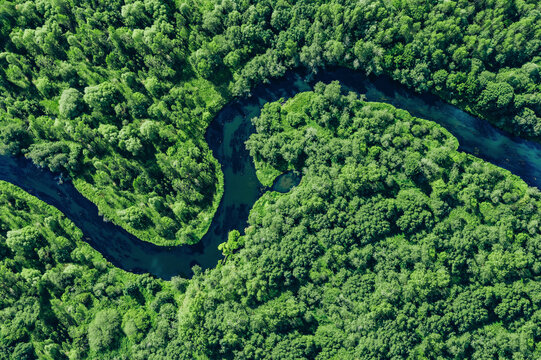 Aerial drone view of blue curved river and green summer woods