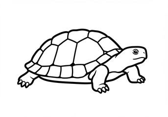 Fototapeta premium Calm Tortoise Line Drawing Simple Clean Aesthetic. AI Generated