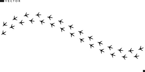 Bird paw prints vector illustration. Turkey paw prints silhouette 