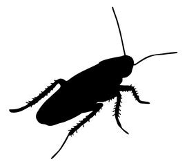 cockroach silhouette