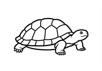 Calm turtle line drawing simple serene design. AI Generated