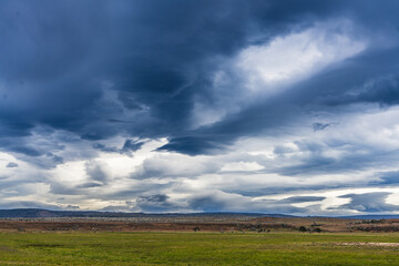Obraz premium Dramatic rain clouds over pasture land in Patagonia