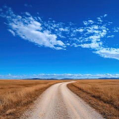 Winding road journey through golden fields under blue sky nature landscape photography tranquil outdoor scene