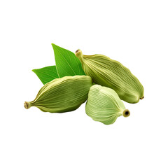 Fresh cardamom with leaf on transparent background