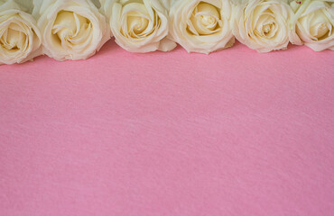 Pink textured paper background with white flowers roses on the top edge. empty space
