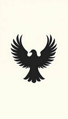 Obraz premium eagle in flight