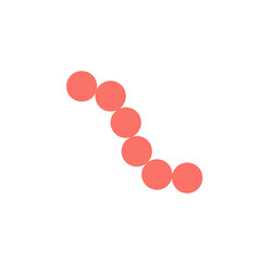 streptococcus pyogenes