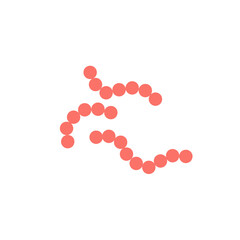 streptococcus pyogenes