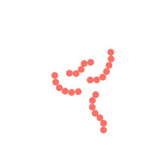 streptococcus pyogenes