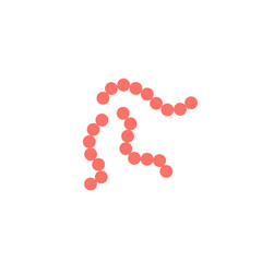 streptococcus pyogenes