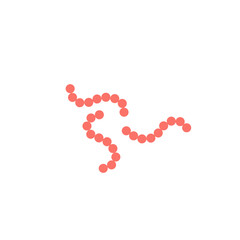 streptococcus pyogenes