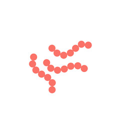 streptococcus pyogenes