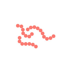 streptococcus pyogenes