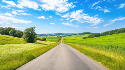 Obraz premium Wide road into distance, flanked by green fields and blue sky. High-definition, horizontal composition. Serene beauty.