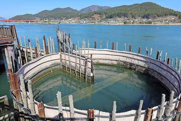 한국 남해 자족해협 죽방렴