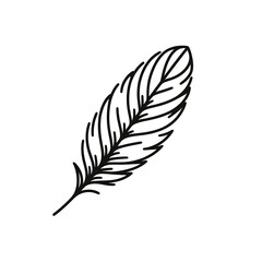 Fototapeta premium Simple black line drawing of a bird feather.