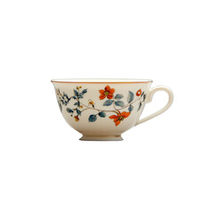 Elegant floral tea cup with intricate design and soft colors